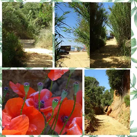Сasa de vacaciones Maria Luisa Albufeira